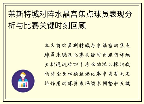 莱斯特城对阵水晶宫焦点球员表现分析与比赛关键时刻回顾